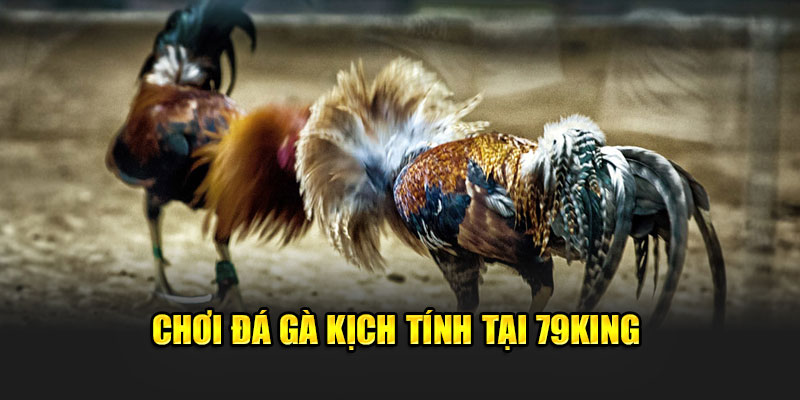 79King 13 Chơi đá gà kịch tính tại 79King